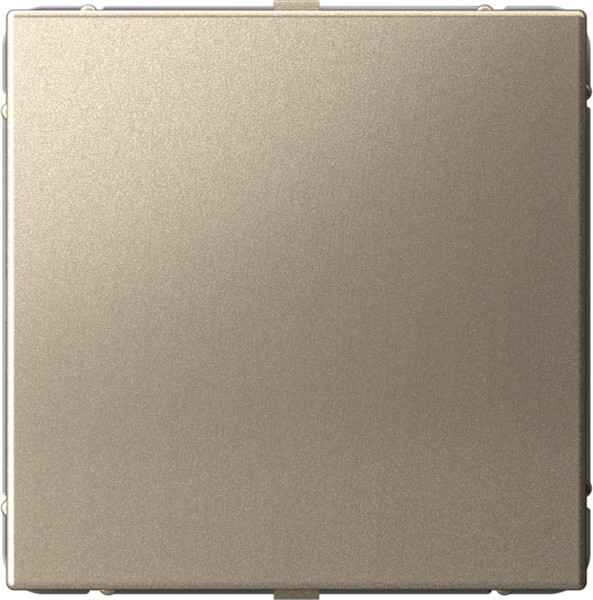 Изображение товара Декоративная заглушка для розетки Systeme (Schneider) Electric ArtGallery GAL000509