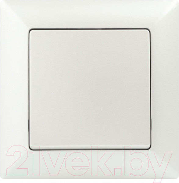 Изображение товара Выключатель INTRO Solo 4-101-06 / Б0053551 (перламутр)