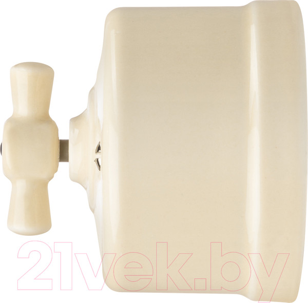 Изображение товара Выключатель TDM Болонь SQ1820-0314 (слоновая кость)