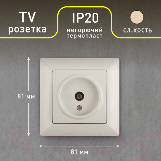 Изображение товара Розетка INTRO Solo 4-301-02 / Б0043369 (слоновая кость)