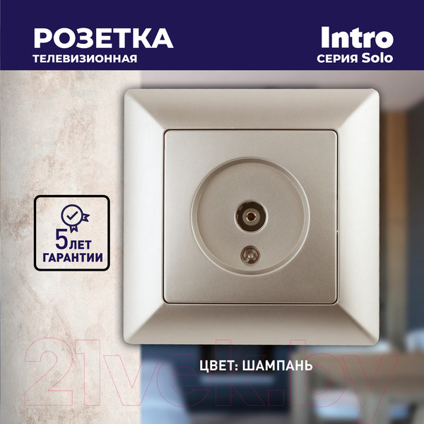 Изображение товара Розетка INTRO Solo 4-301-04 / Б0043371 (шампань)