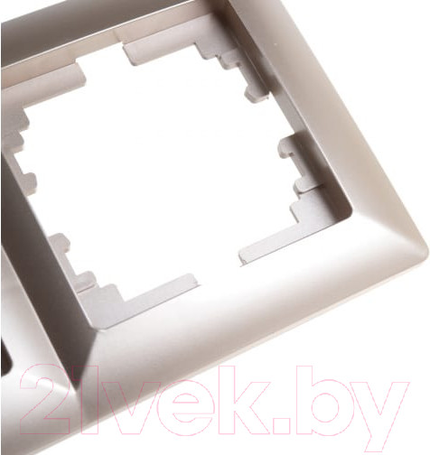 Изображение товара Рамка для выключателей и розеток INTRO Solo 4-504-04 / Б0043427 (шампань)