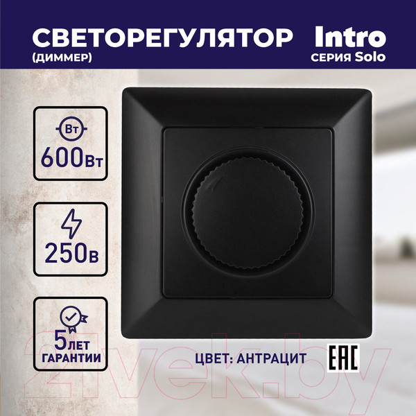 Изображение товара Диммер INTRO Solo 4-401-05 / Б0043400 (антрацит)