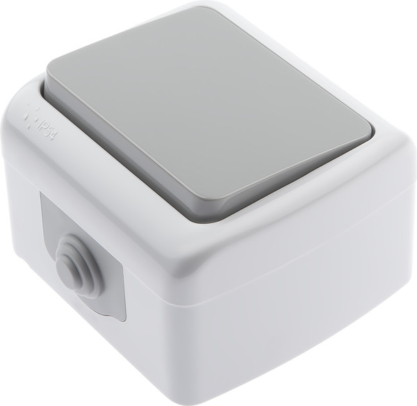 Изображение товара Выключатель INTRO Atlantic 5-101-03 / Б0050940 (серый)