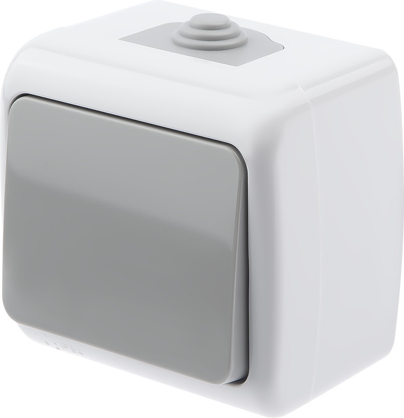 Изображение товара Выключатель INTRO Atlantic 5-101-03 / Б0050940 (серый)