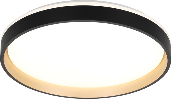 Изображение товара Потолочный светильник Citilux CL753451G