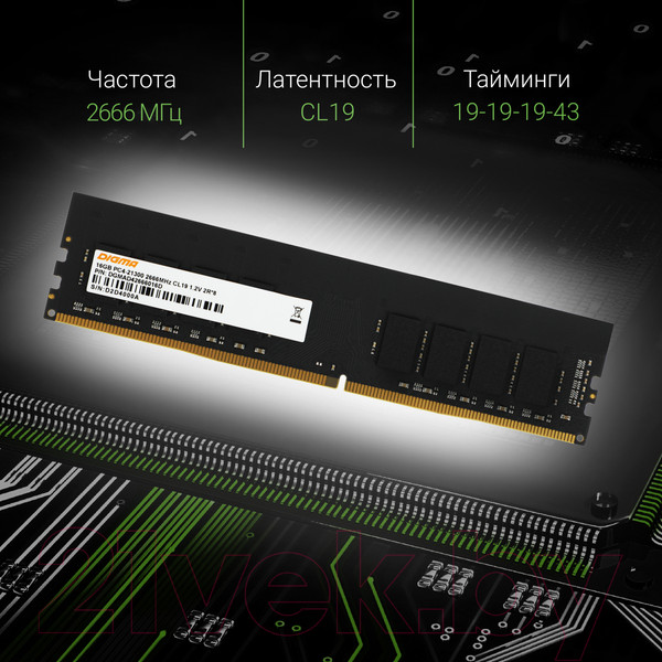 Изображение товара Оперативная память DDR4 Digma DGMAD42666016D