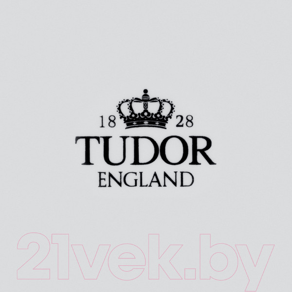 Изображение товара Тарелка столовая глубокая Tudor England TU3586
