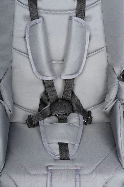 Изображение товара Детская прогулочная коляска Aimile Aster / AS-003 (серый)