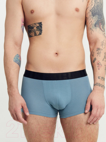 Изображение товара Комплект мужских трусов Mark Formelle 411215-2 (р.86-96, серо-голубой/волки на морском)