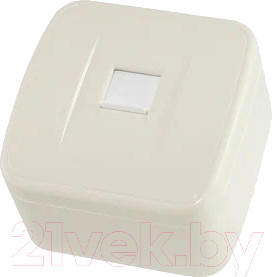 Изображение товара Розетка TDM Дача SQ1824-0024 (слоновая кость)