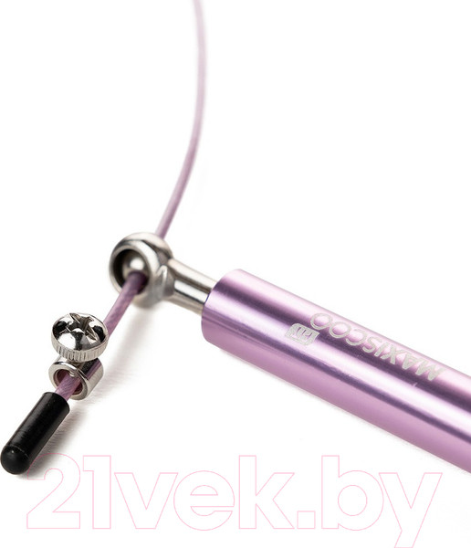 Изображение товара Скакалка Maxiscoo Fit MSF-XN-200723-PR (фиолетовый)