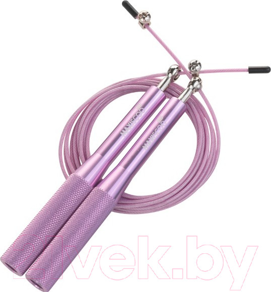 Изображение товара Скакалка Maxiscoo Fit MSF-XN-200723-PR (фиолетовый)