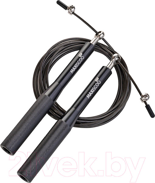 Изображение товара Скакалка Maxiscoo Fit MSF-XN-200723-BK (черный)