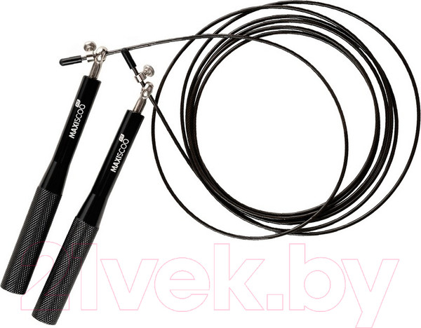 Изображение товара Скакалка Maxiscoo Fit MSF-XN-200723-BK (черный)