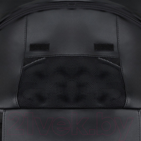 Изображение товара Детская универсальная коляска Pituso Tossa 2 в 1 / TS/25/1 (кожа/черный)