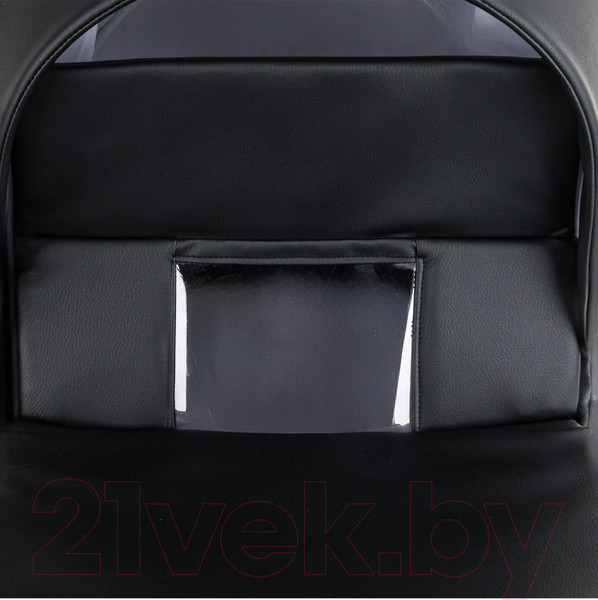 Изображение товара Детская универсальная коляска Pituso Tossa 2 в 1 / TS/25/1 (кожа/черный)