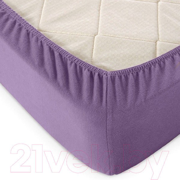 Изображение товара Простыня Alleri Трикотажная на резинке 180x200x20см (баклажан)