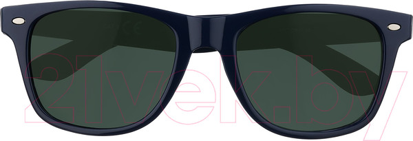 Изображение товара Очки солнцезащитные Zippo OB21-25