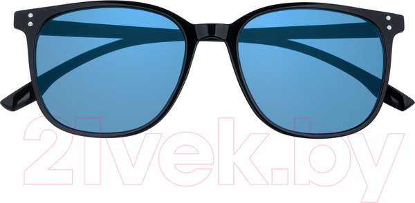 Изображение товара Очки солнцезащитные Zippo OB204-6