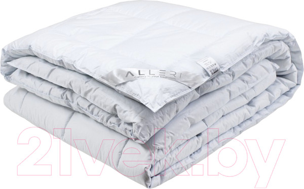 Изображение товара Одеяло Alleri Eco-Line Platinum Демисезонное 200x215