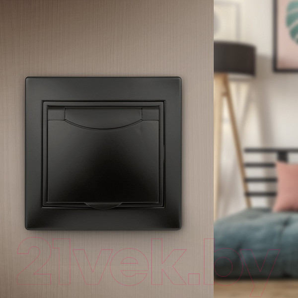 Изображение товара Розетка INTRO Plano 1-203-05 / Б0053896 (антрацит)