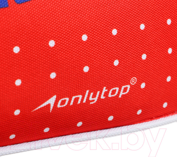 Изображение товара Спортивная сумка Onlytop Russial / 9929498
