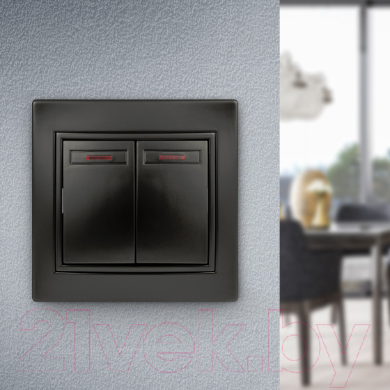 Изображение товара Выключатель INTRO Plano 1-105-05 / Б0053780 (антрацит)