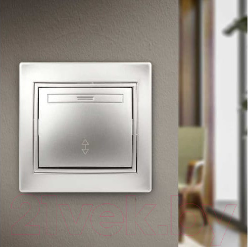 Изображение товара Выключатель INTRO Plano 1-103-03 / Б0053746 (алюминий)