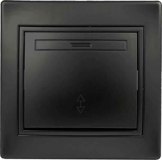 Изображение товара Выключатель INTRO Plano 1-103-05  / Б0053750 (антрацит)