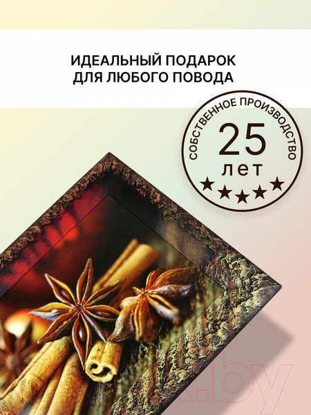 Изображение товара Картина Декарт Корица 8Л0021 (в раме)