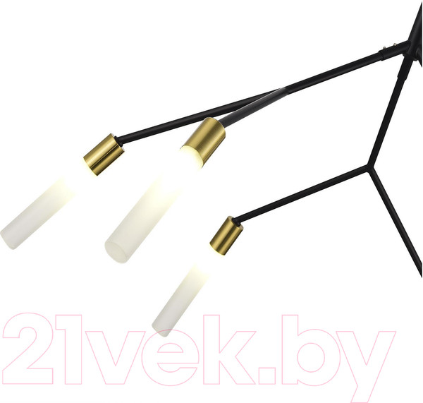 Изображение товара Люстра Evoluce SLE1129-403-06