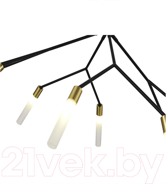 Изображение товара Люстра Evoluce SLE1129-403-08