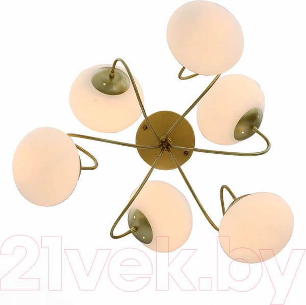 Изображение товара Люстра Evoluce SL717.202.06