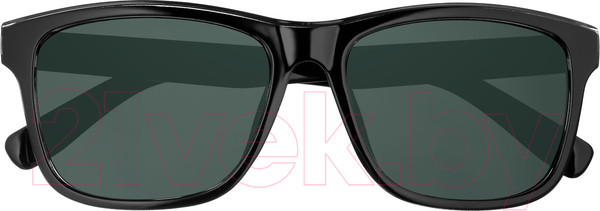 Изображение товара Очки солнцезащитные Zippo OB201-13