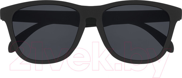 Изображение товара Очки солнцезащитные Zippo OB202-1 