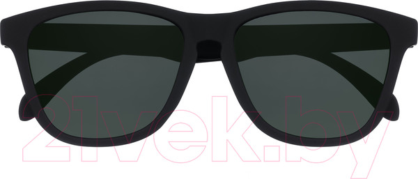 Изображение товара Очки солнцезащитные Zippo OB202-5