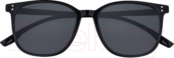 Изображение товара Очки солнцезащитные Zippo OB204-1 