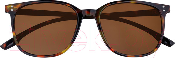 Изображение товара Очки солнцезащитные Zippo OB204-2