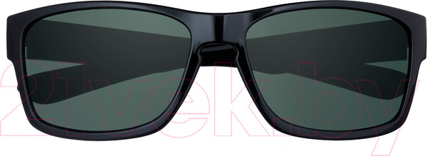 Изображение товара Очки солнцезащитные Zippo OB217-4