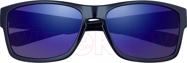 Изображение товара Очки солнцезащитные Zippo OB217-5