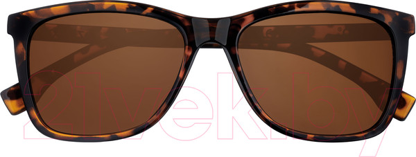 Изображение товара Очки солнцезащитные Zippo OB223-4