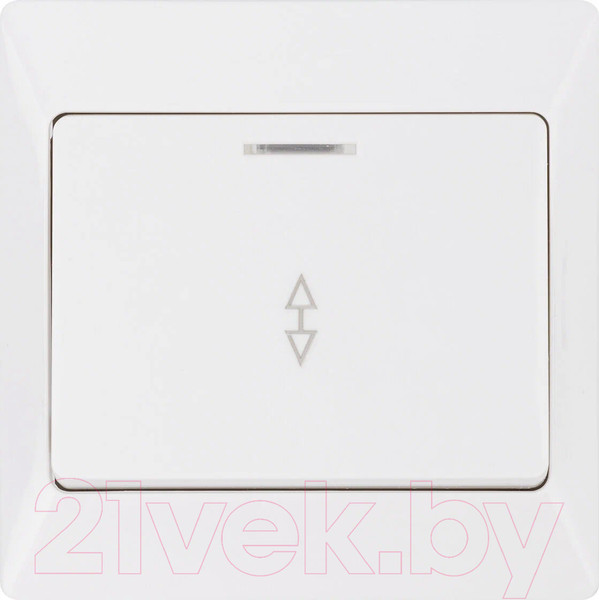 Изображение товара Выключатель TDM Ильмень / SQ1823-0006 (белый)