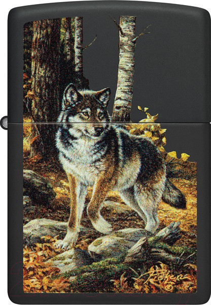 Изображение товара Зажигалка Zippo Linda Picken / 48970 (черный)