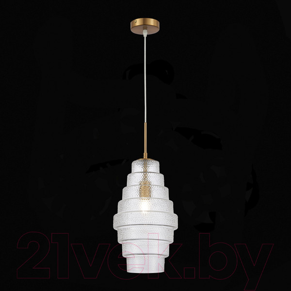 Изображение товара Потолочный светильник ST Luce SL1001.213.01