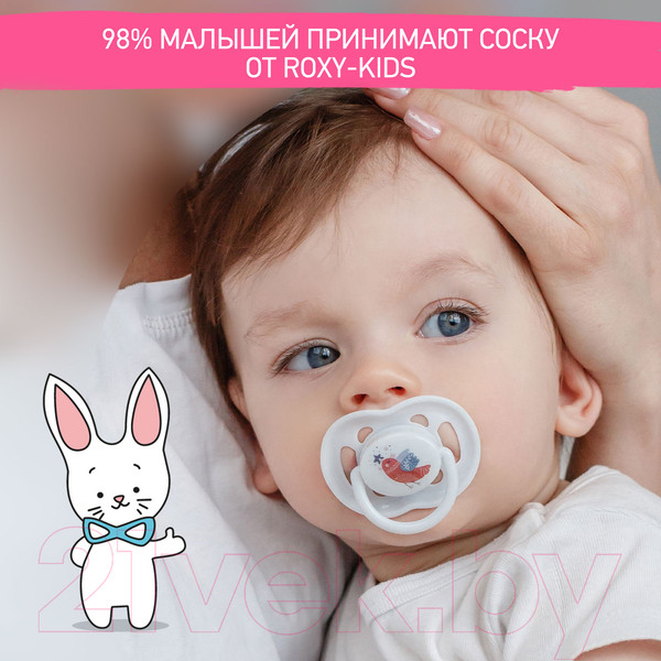 Изображение товара Набор пустышек ROXY-KIDS Scandi / RSS-004