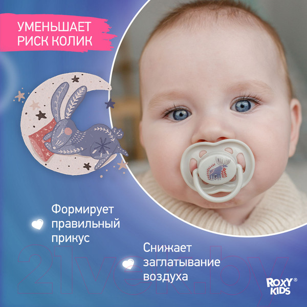 Изображение товара Набор пустышек ROXY-KIDS Scandi / RSS-003
