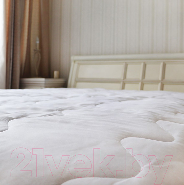 Изображение товара Одеяло Файбертек Э.02.Gliss 205x140