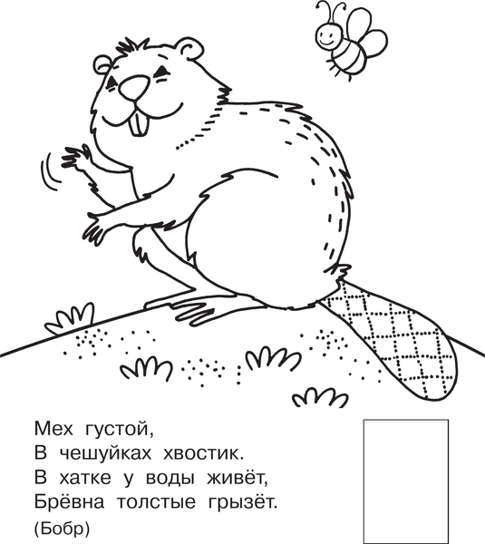 Изображение товара Раскраска АСТ Зверята, мягкая обложка (Гайдель Екатерина)