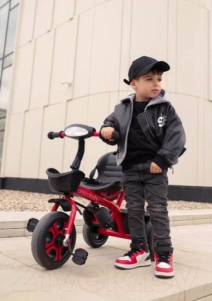 Изображение товара Трехколесный велосипед с ручкой Amarobaby Legend / AB23-36LG/07 (красный)